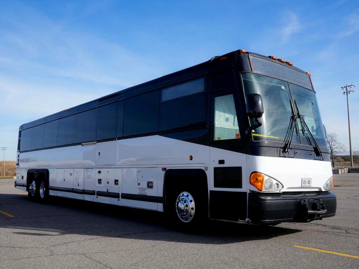 Toronto Wedding Limousine for Bridesmaids, Groomsmen, and Wedding Guests
